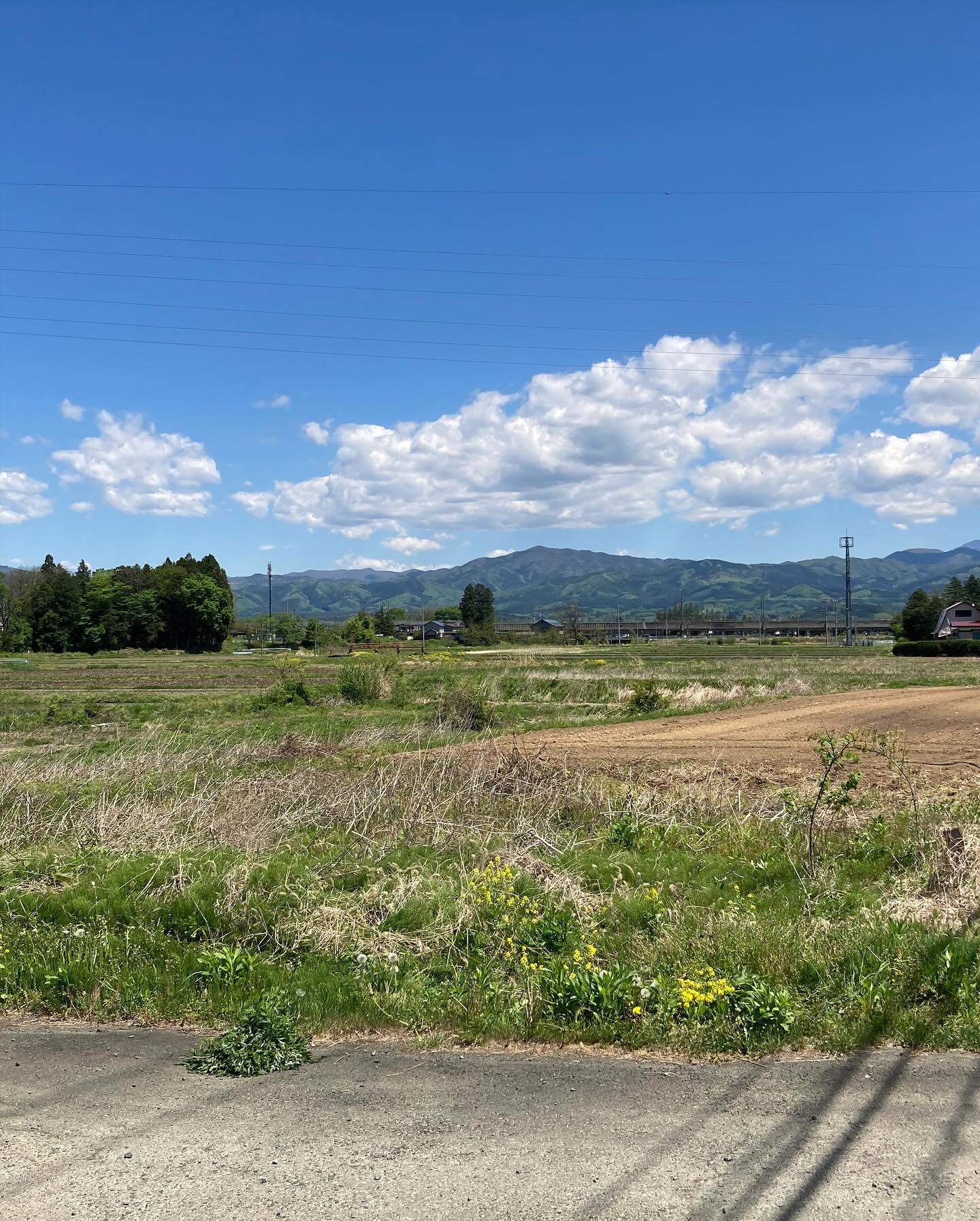 テスト農作業イベント